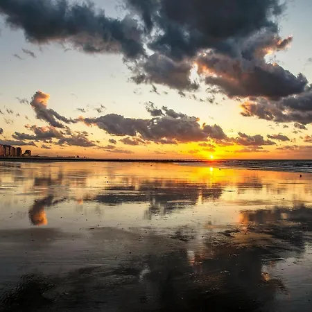 아파트 In With Sea Views 미들케르케